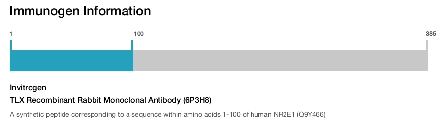 TLX Recombinant Rabbit Monoclonal Antibody (6P3H8)