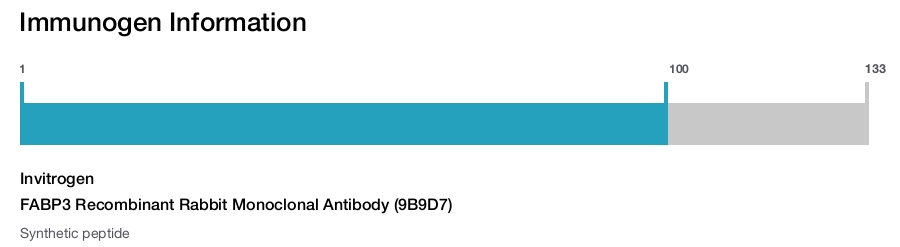 FABP3 Recombinant Rabbit Monoclonal Antibody (9B9D7)