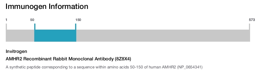 AMHR2 Recombinant Rabbit Monoclonal Antibody (8Z8X4)