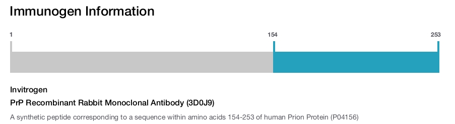 PrP Recombinant Rabbit Monoclonal Antibody (3D0J9)