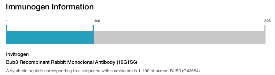 Bub3 Recombinant Rabbit Monoclonal Antibody (10G1S6)