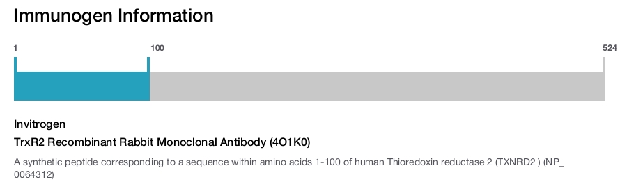 TrxR2 Recombinant Rabbit Monoclonal Antibody (4O1K0)