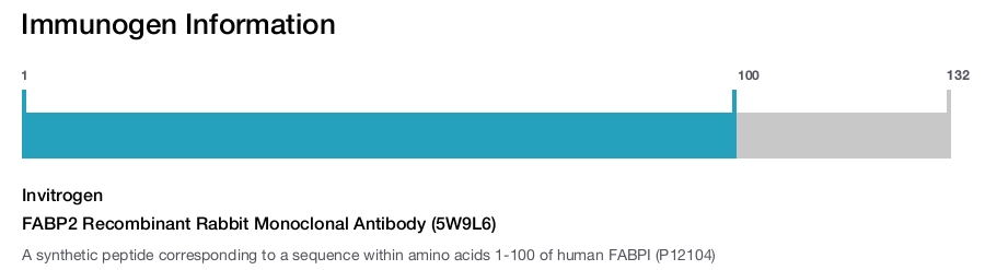 FABP2 Recombinant Rabbit Monoclonal Antibody (5W9L6)