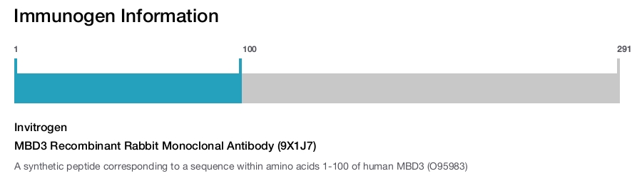 MBD3 Recombinant Rabbit Monoclonal Antibody (9X1J7)