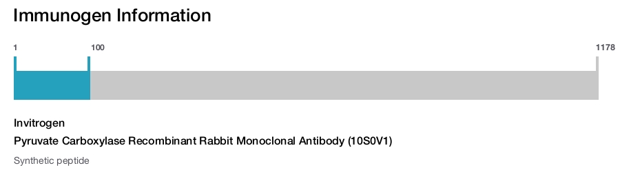 Pyruvate Carboxylase Recombinant Rabbit Monoclonal Antibody (10S0V1)