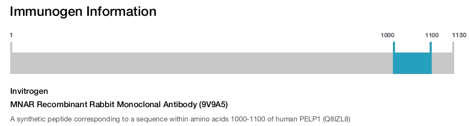 MNAR Recombinant Rabbit Monoclonal Antibody (9V9A5)
