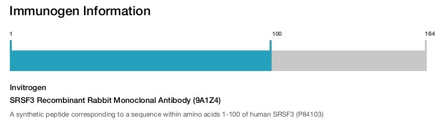 SRSF3 Recombinant Rabbit Monoclonal Antibody (9A1Z4)