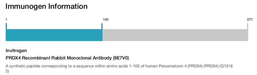 PRDX4 Recombinant Rabbit Monoclonal Antibody (9E7V0)