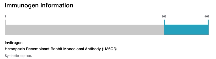 Hemopexin Recombinant Rabbit Monoclonal Antibody (1M6O3)