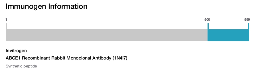 ABCE1 Recombinant Rabbit Monoclonal Antibody (1N4I7)