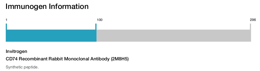CD74 Recombinant Rabbit Monoclonal Antibody (2M8H5)