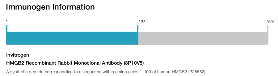 HMGB2 Recombinant Rabbit Monoclonal Antibody (8P10V5)