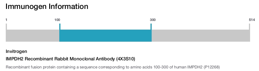IMPDH2 Recombinant Rabbit Monoclonal Antibody (4X3S10)