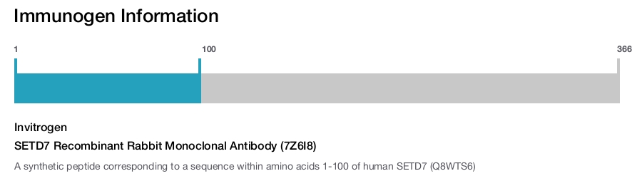 SETD7 Recombinant Rabbit Monoclonal Antibody (7Z6I8)