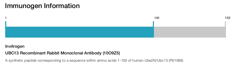 UBC13 Recombinant Rabbit Monoclonal Antibody (10O9Z5)