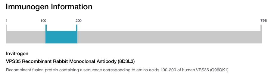 VPS35 Recombinant Rabbit Monoclonal Antibody (8D3L3)