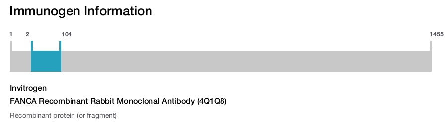 FANCA Recombinant Rabbit Monoclonal Antibody (4Q1Q8)