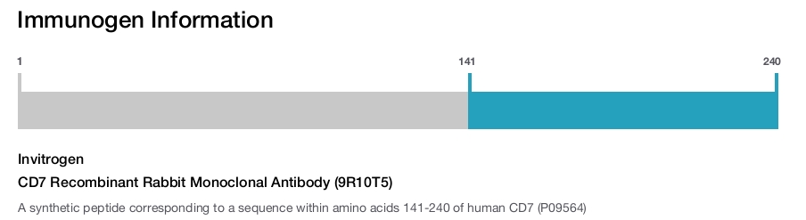 CD7 Recombinant Rabbit Monoclonal Antibody (9R10T5)