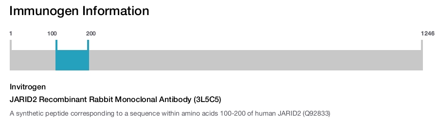 JARID2 Recombinant Rabbit Monoclonal Antibody (3L5C5)