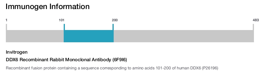 DDX6 Recombinant Rabbit Monoclonal Antibody (6F9I6)