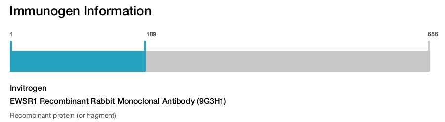 EWSR1 Recombinant Rabbit Monoclonal Antibody (9G3H1)