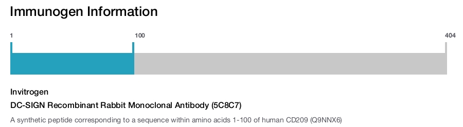 DC-SIGN Recombinant Rabbit Monoclonal Antibody (5C8C7)