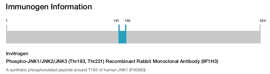 Phospho-JNK1/JNK2/JNK3 (Thr183, Thr221) Recombinant Rabbit Monoclonal Antibody (9F1H3)