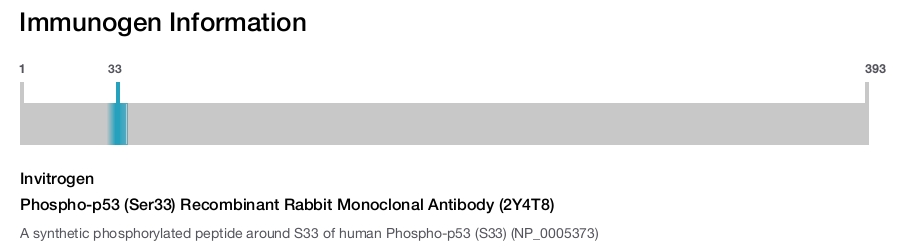 Phospho-p53 (Ser33) Recombinant Rabbit Monoclonal Antibody (2Y4T8)