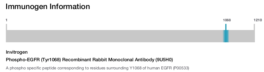 Phospho-EGFR (Tyr1068) Recombinant Rabbit Monoclonal Antibody (9U5H0)