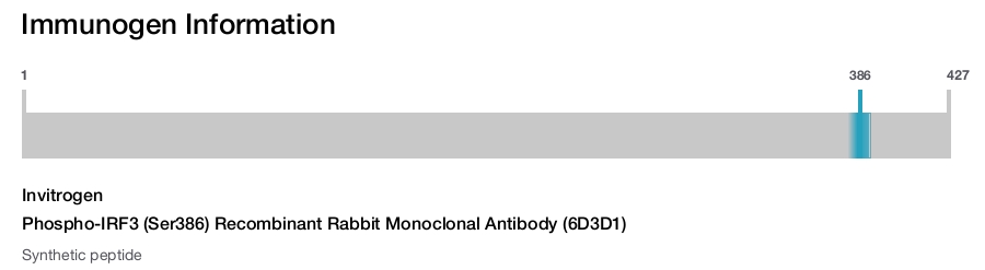 Phospho-IRF3 (Ser386) Recombinant Rabbit Monoclonal Antibody (6D3D1)