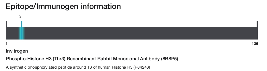 Phospho-Histone H3 (Thr3) Recombinant Rabbit Monoclonal Antibody (8B8P5)