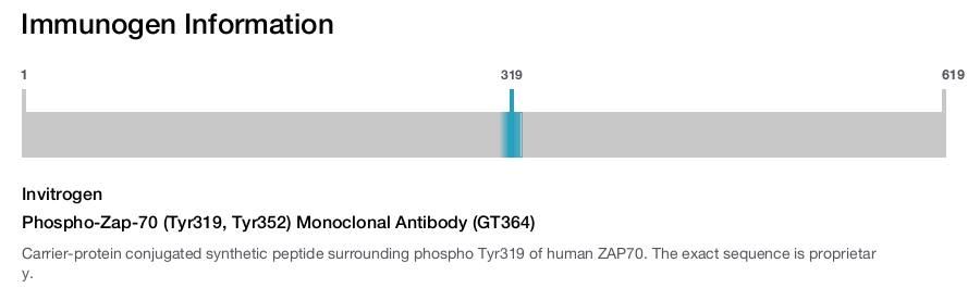 Phospho-Zap-70 (Tyr319, Tyr352) Monoclonal Antibody (GT364)