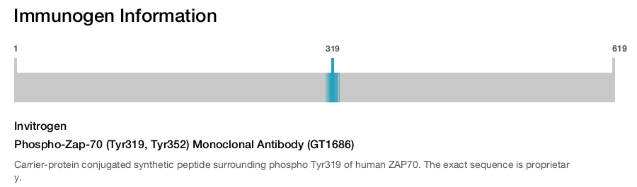 Phospho-Zap-70 (Tyr319, Tyr352) Monoclonal Antibody (GT1686)
