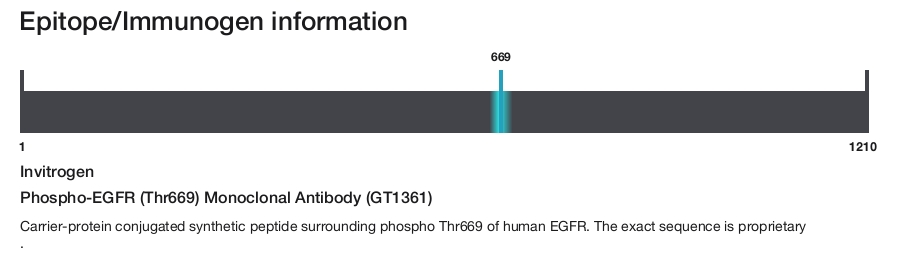 Phospho-EGFR (Thr669) Monoclonal Antibody (GT1361)