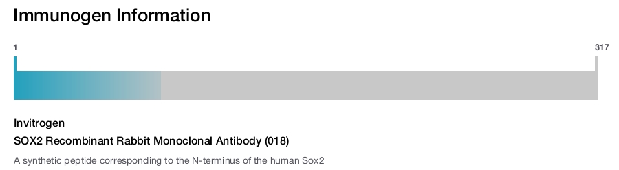 SOX2 Recombinant Rabbit Monoclonal Antibody (018)