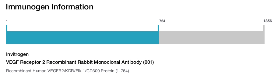 VEGF Receptor 2 Recombinant Rabbit Monoclonal Antibody (001)