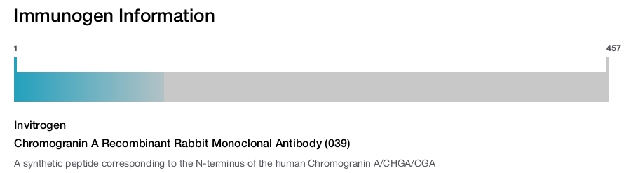 Chromogranin A Recombinant Rabbit Monoclonal Antibody (039)