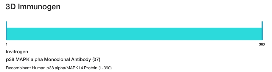 p38 MAPK alpha Monoclonal Antibody (07)