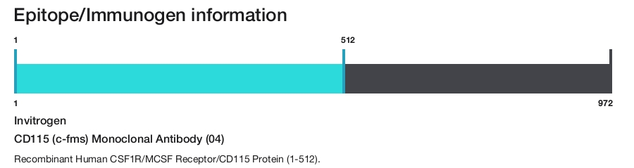 CD115 (c-fms) Monoclonal Antibody (04)