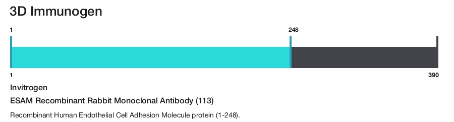 ESAM Recombinant Rabbit Monoclonal Antibody (113)