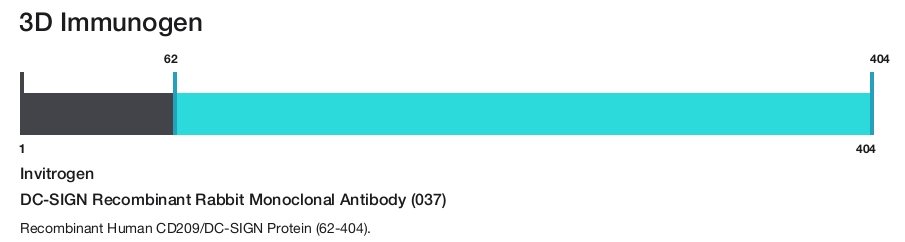 DC-SIGN Recombinant Rabbit Monoclonal Antibody (037)