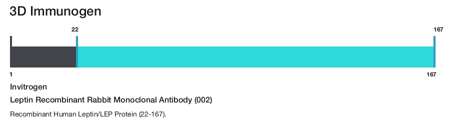 Leptin Recombinant Rabbit Monoclonal Antibody (002)