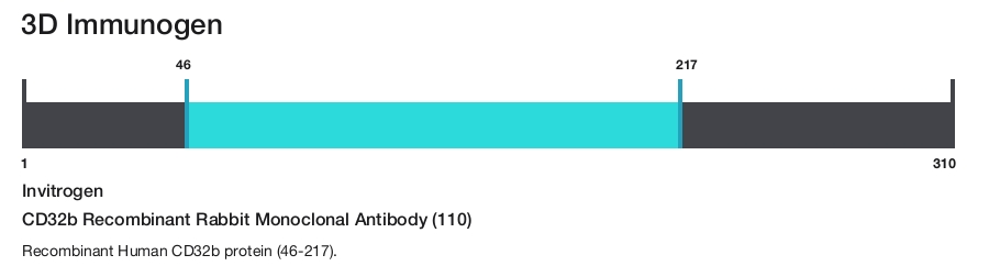 CD32b Recombinant Rabbit Monoclonal Antibody (110)