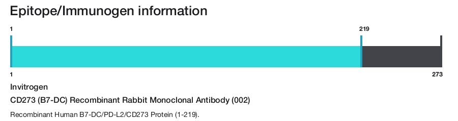 CD273 (B7-DC) Recombinant Rabbit Monoclonal Antibody (002)