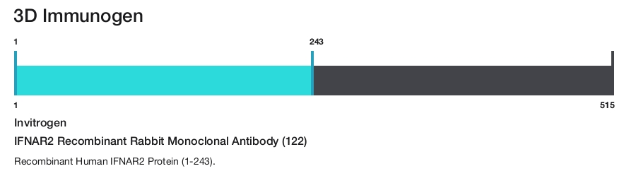 IFNAR2 Recombinant Rabbit Monoclonal Antibody (122)