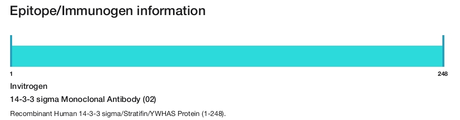 14-3-3 sigma Monoclonal Antibody (02)