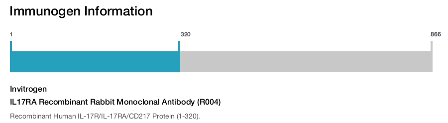 IL17RA Recombinant Rabbit Monoclonal Antibody (R004)