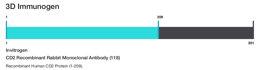 CD2 Recombinant Rabbit Monoclonal Antibody (118)