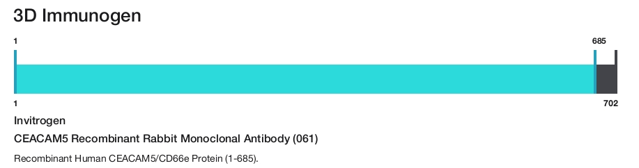 CEACAM5 Recombinant Rabbit Monoclonal Antibody (061)
