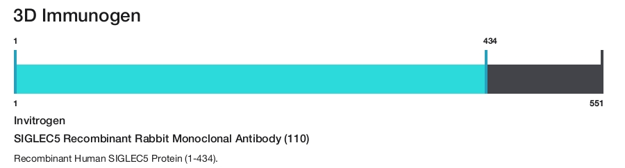 SIGLEC5 Recombinant Rabbit Monoclonal Antibody (110)